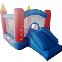 mini bouncer with slide in the Garden Party Theme 100% PVC with Blower 